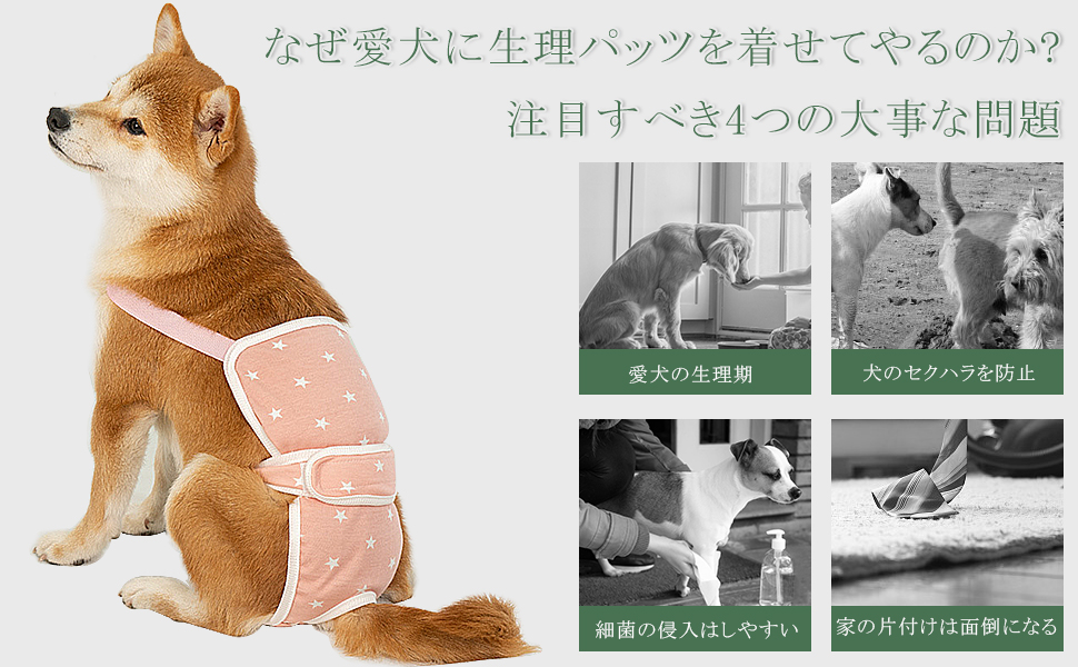 Amazon | Pacify 犬おむつカバー 犬 おむつ 女の子 サスペンダー式 犬