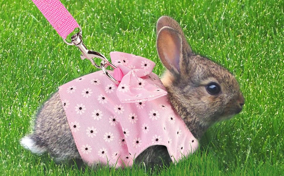Filhome Adjustable Rabbit Harness Leash, Bunny Harness