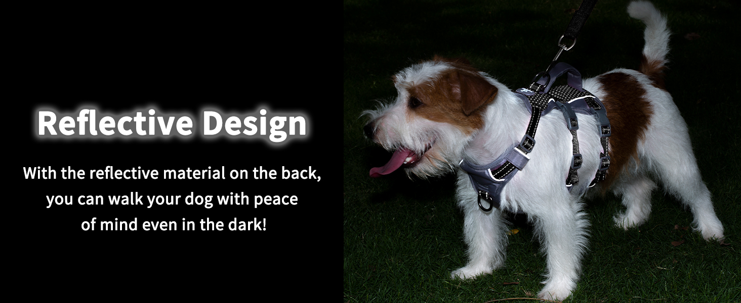 dog harness with handle