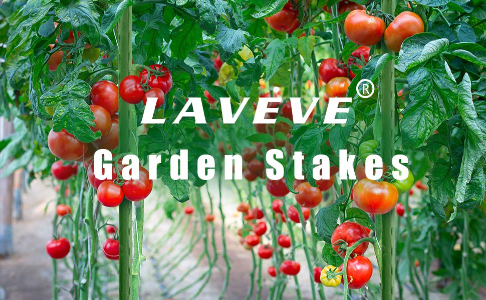 LAVEVE Garden Stakes 36 Inches Heavy Duty Steel Tomato