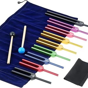 音叉セラピー用音叉8本セット　★ご希望があればおまけあり 音叉セラピー用音叉8本セット ☆ご希望があればおまけあり 音叉