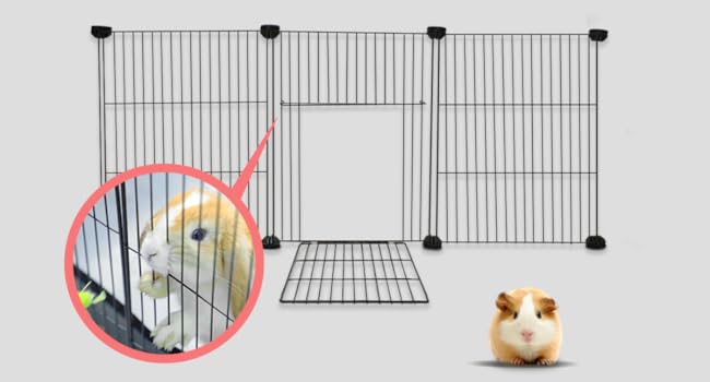 gineau collapsible gineapeag waterproof playground guenia ginuea gunie build guinie accessories