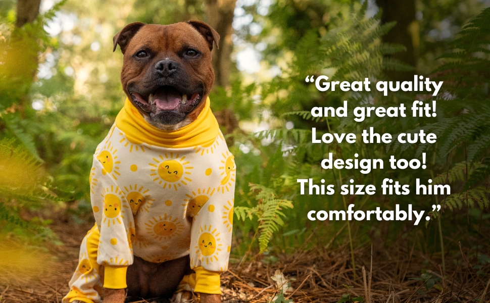 Spark Paws Pajamas - Sunshine