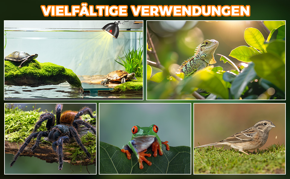   E27 Reptilien -Terrarium -Wärmelampenbuchse 200 -W -Dome -Lampenschirm