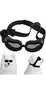 dog goggles