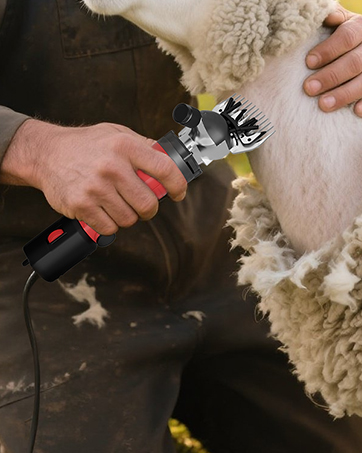 Vkdemer Sheep Clippers