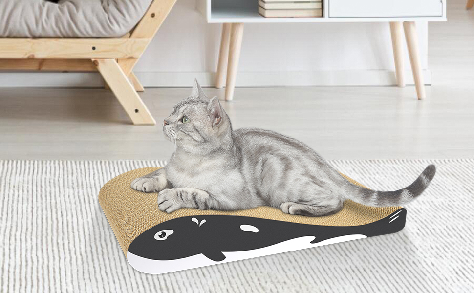 Katzenmatte – das Katzenparadies