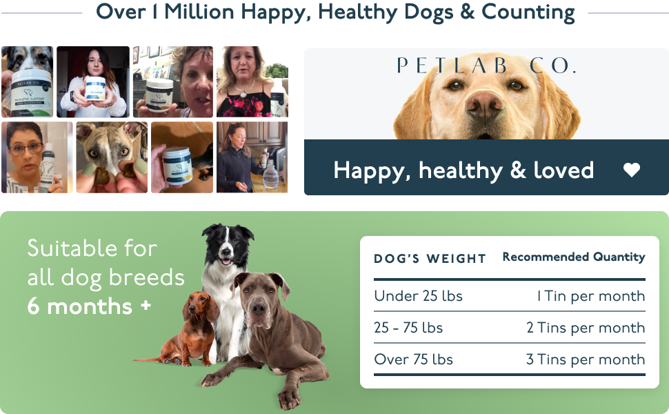 Petlab Co. Probiotic Chews Support Gut Health, Itchy Skin, And Yeast