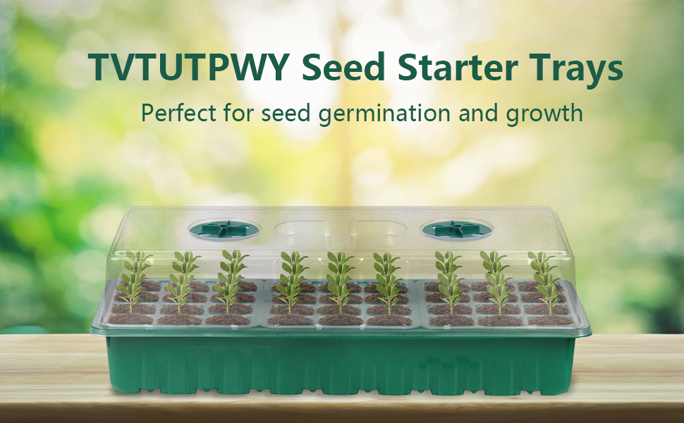 plant starter trays