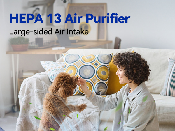 Air Purifiers for Home Large Room