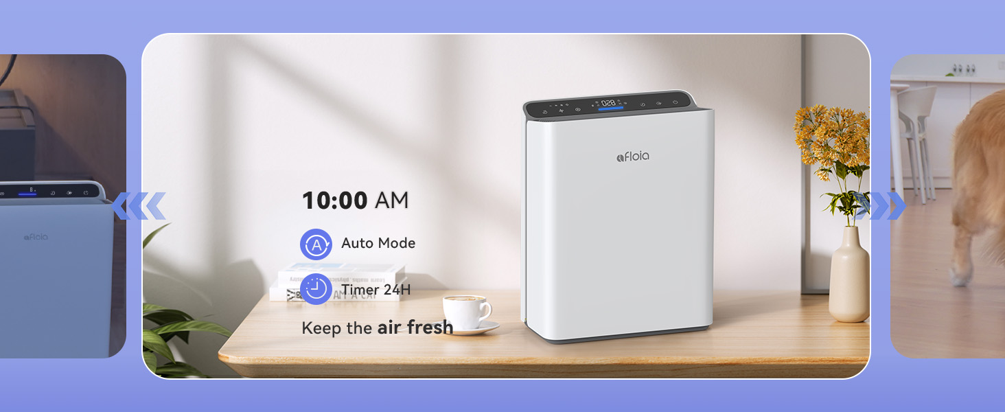 air purifiers for home large room