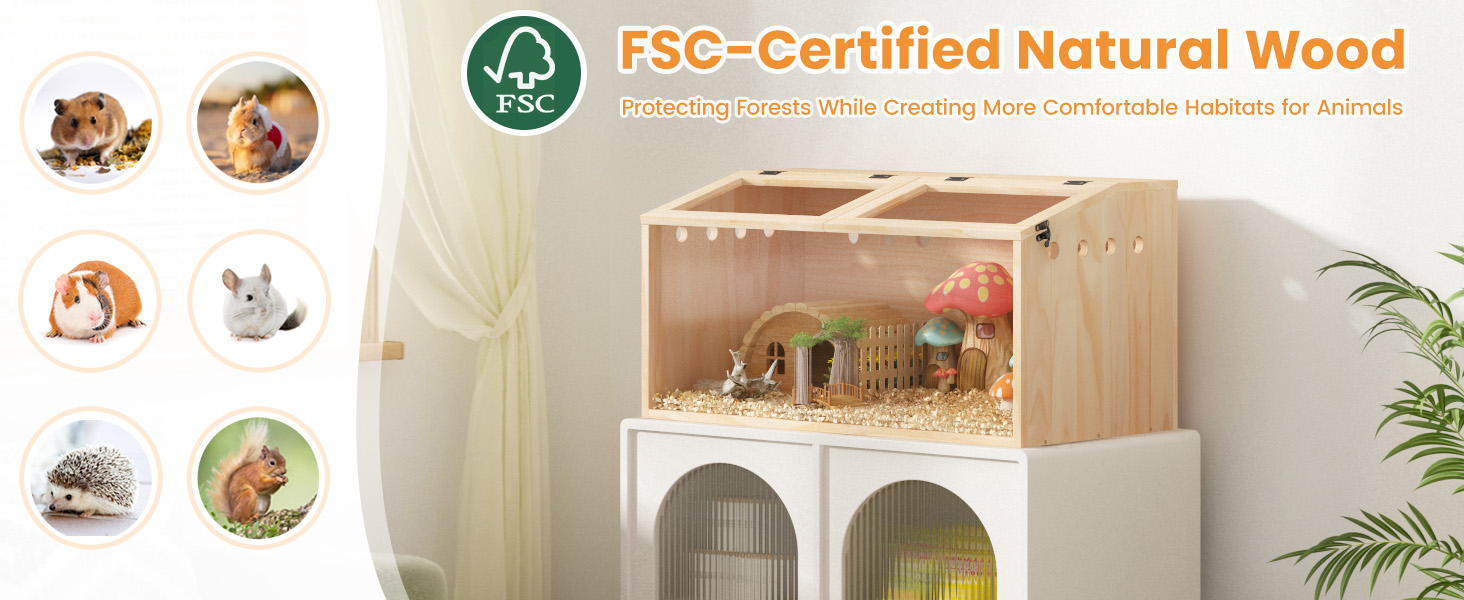 hamster cage