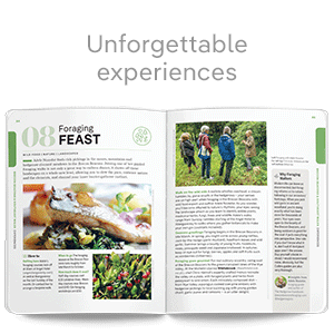 Unforgettable experiences