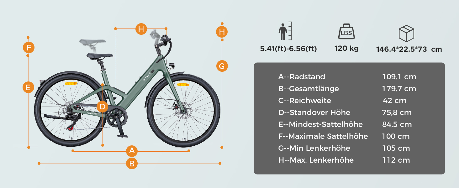 e bike