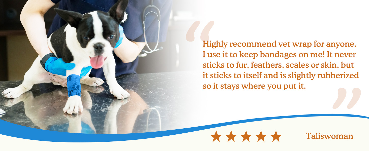pet bandage