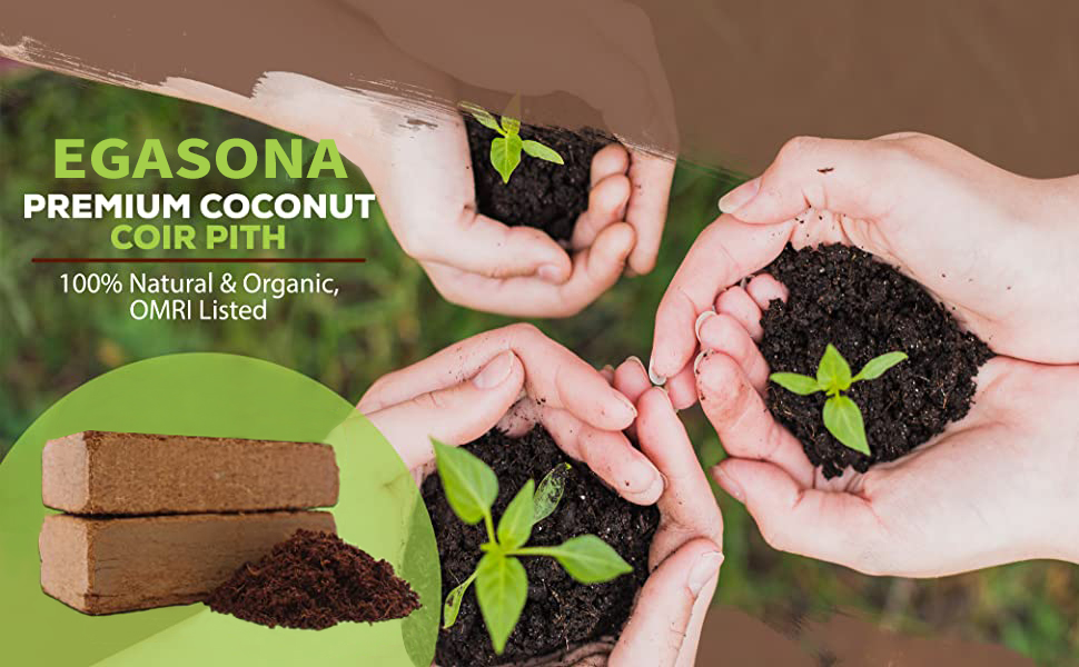 6 Pcs Premium Coco Coir Compressed Coconut Coir 100