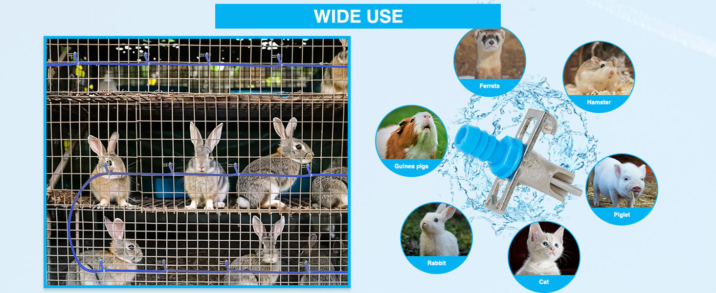 bunny water dispenser