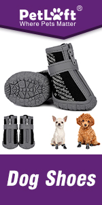 Dog Shoes