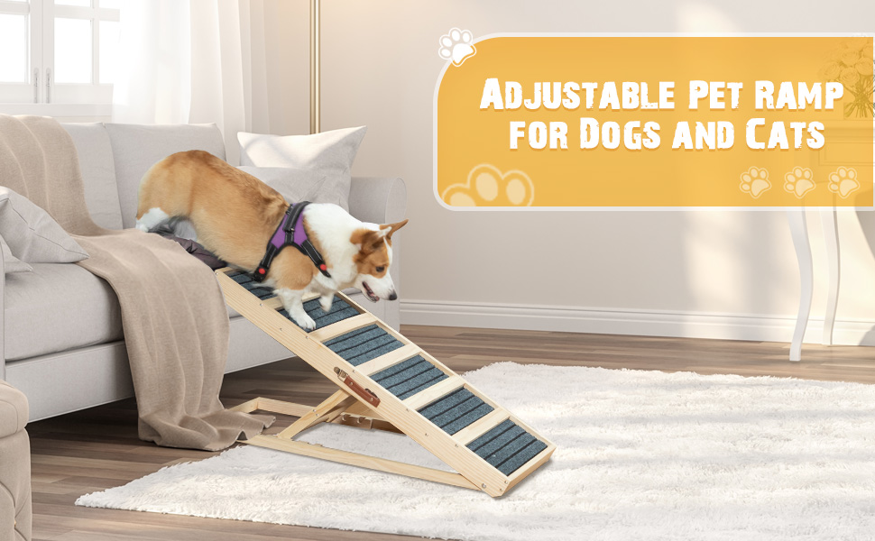 Folding Dog Ramp