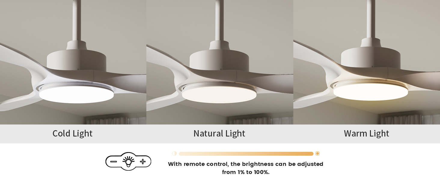 ceiling fan with light