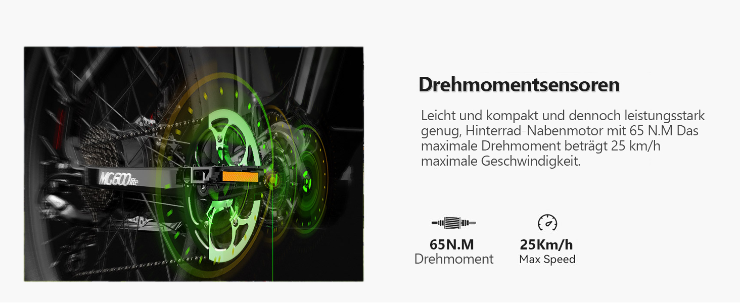 e bike herren