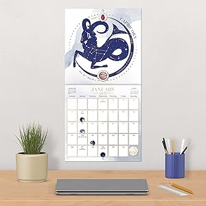 その他 Astrology: The Daily Love Calendar その他 Astrology: The Daily Love Calendar Llewellyn's 2025