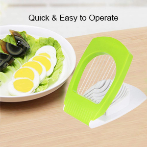 Egg Cutter 7 Factors
