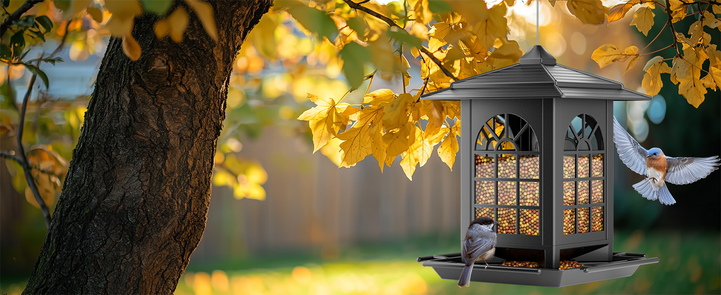 hanging bird feeder