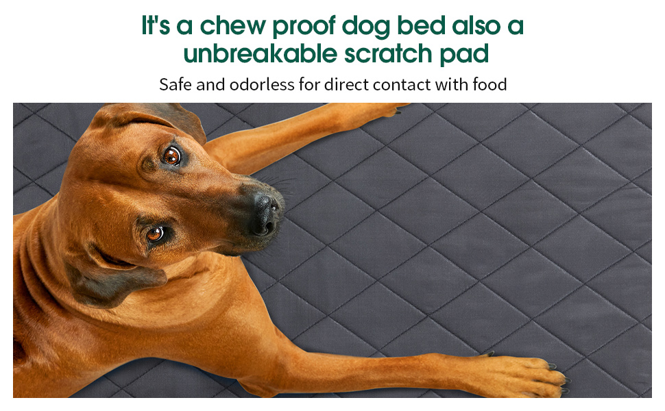 HOMBYS Durable Indestructible Pet Bed Mat for Aggressive Chewers, Quick Dry, Machine Washable
| HOMBYS Durable Indes Eb24f5c3 1e74 4c0b B5dd 5b137490676e. CR0,0,970,600 PT0 SX970 V1