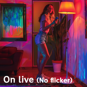 record (video or audio)