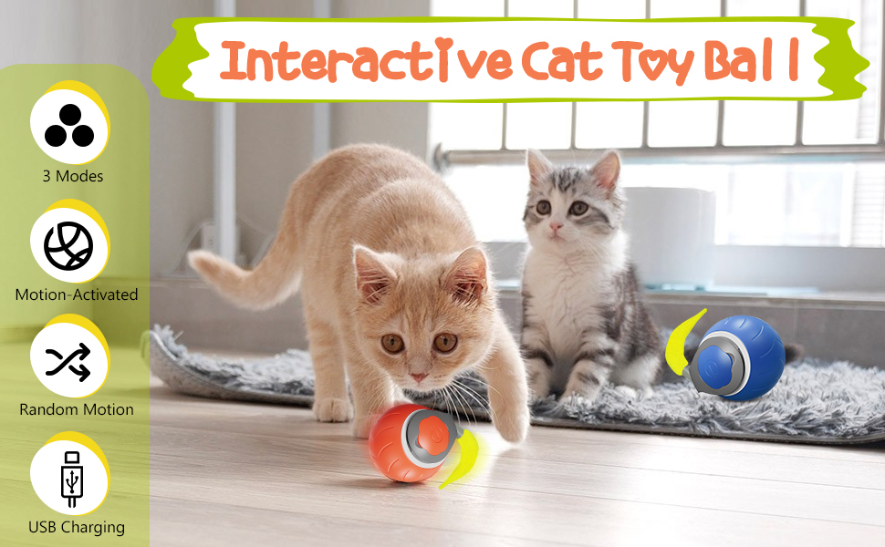 interactive cat toys