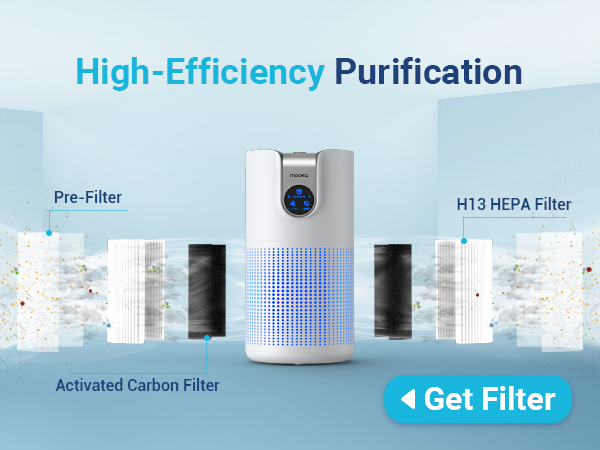 air purifier large room