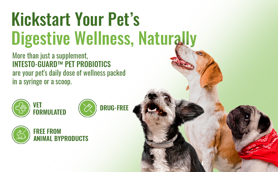 Kickstart Your Pets