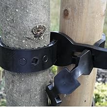 Árbol