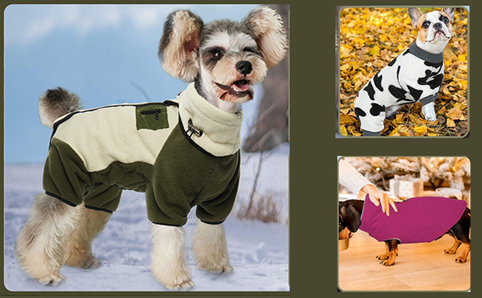 DENTRUN Small Dog Winter Coat Warm Fleece Jacket, Removable Turtleneck