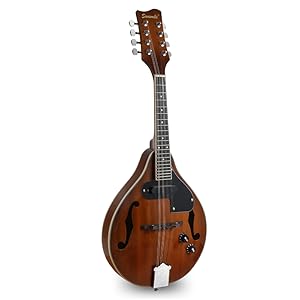 Amazon.com: Sunsmile A-Style 8 String Acoustic-Electric