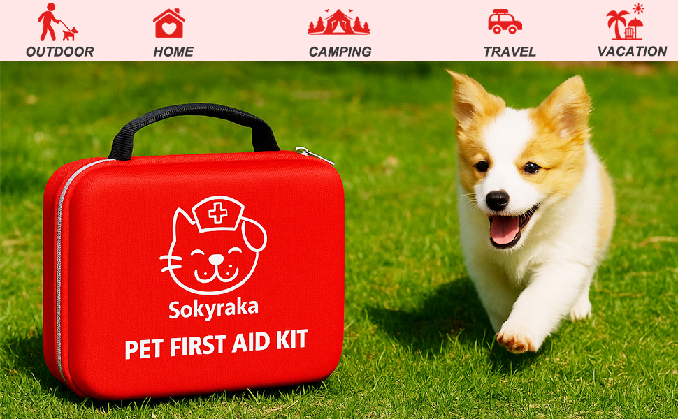 dog first aid kit