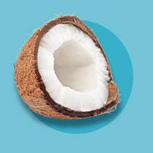 skinsations fractionated coconut massage oil