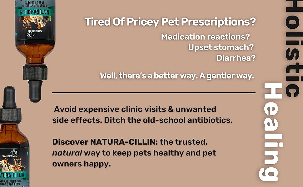 Holistic Healing for Pets
