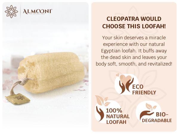 Loofah Sponge