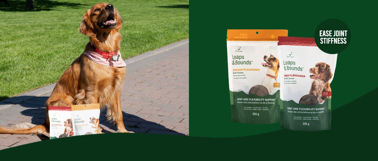 Leaps & Bounds Joint Support For Dogs
