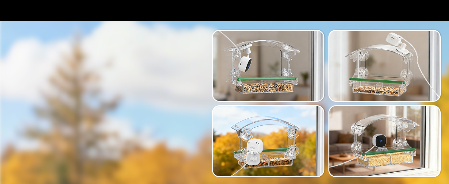 window bird feeders for outdoors、comederos para pajaritos、video bird feeder、suction cup bird feeder