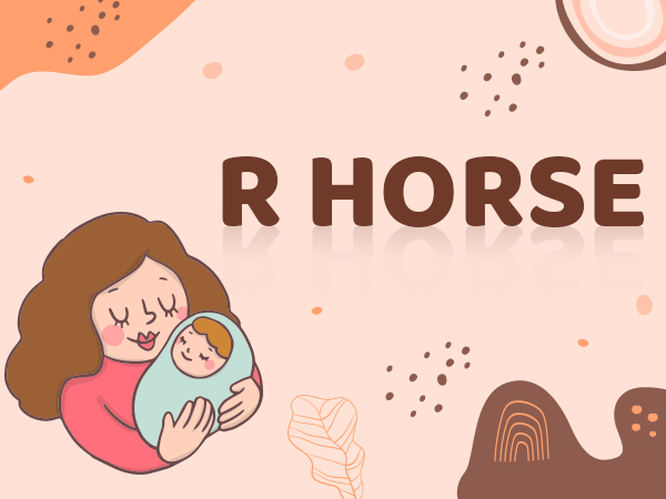 RH-Rainbow Wooden Tag 3P