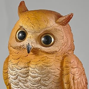 フクロウ　照明 Amazon.co.jp : Sakura ウォールライト ブランチデザイン