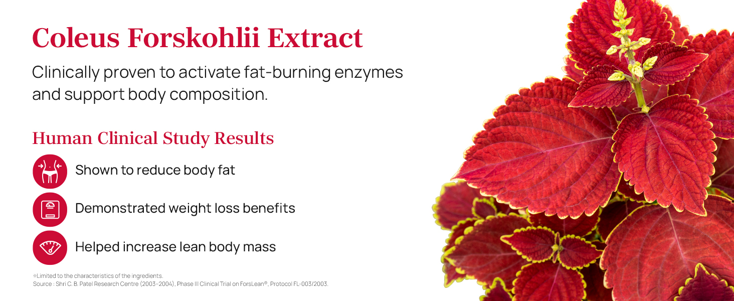 Coleus Extract