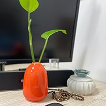 Jarrón creativo moderno, florero circular elegante y clásico, ramas de flores, trigo