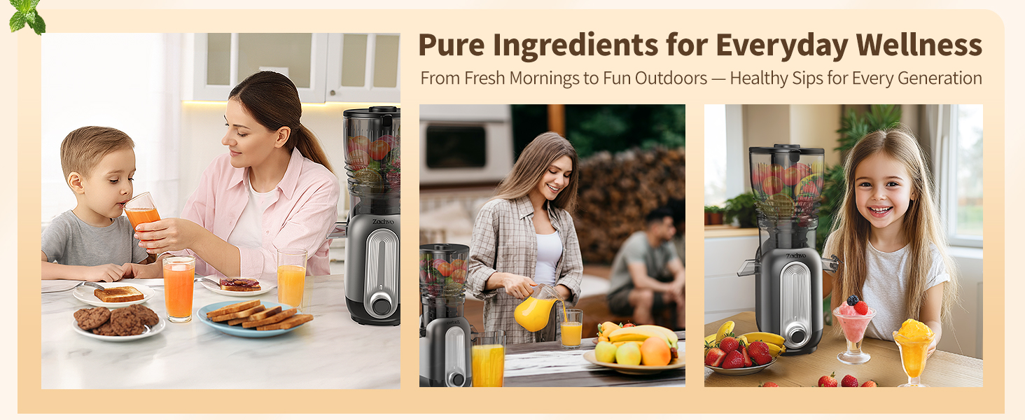 Cold Press Juicer Machines A+03