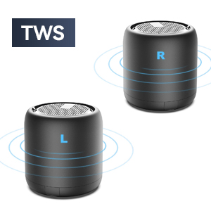 TWS Bluetooth Speaker