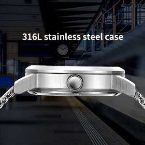 316L stainless steel case