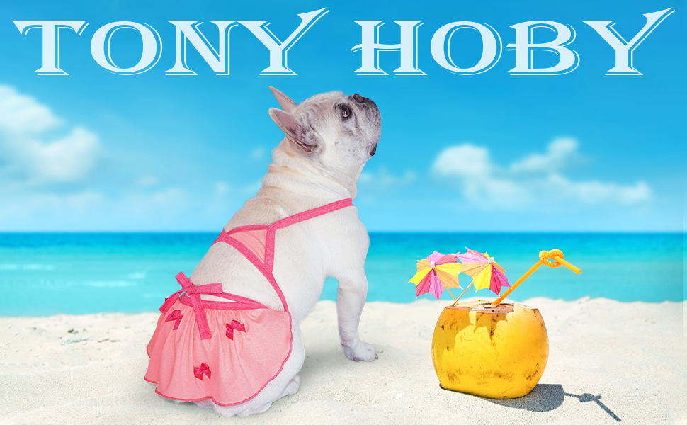 Amazon.com : TONY HOBY Dog Biniki, Dog Swimsuit Dress, Dog Beach Dress